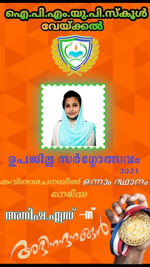 Anisha sargolsavam.jpeg