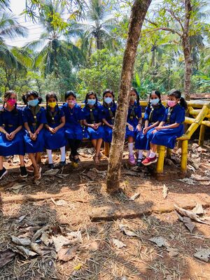 BULL BULL UNIT PIC.jpeg