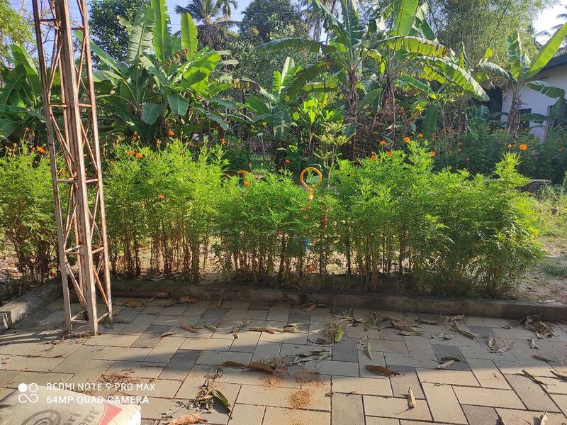 പ്രമാണം:Photo 2022-01-30 17-12-07.jpg