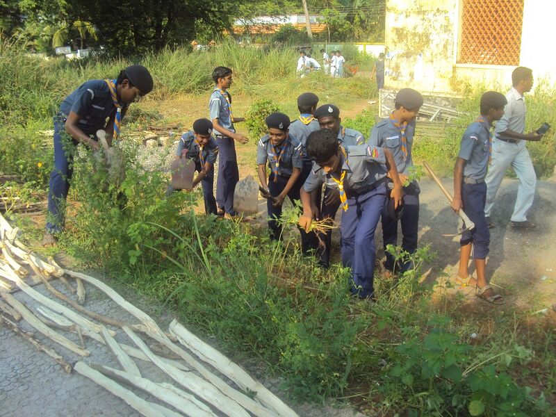 പ്രമാണം:Scout 35052q.JPG