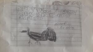 11224-KGD-KUNJ-MANEESH P.jpg