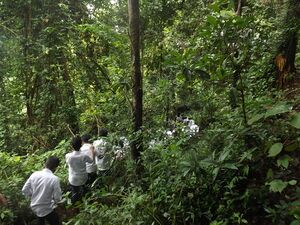 12060 kaanam yathra 4.JPG