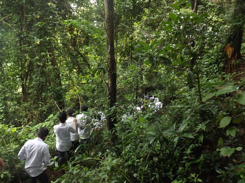 പ്രമാണം:12060 kaanam yathra 4.JPG