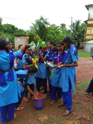 13121 scouting 7.jpg