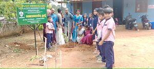 15253 environ ment 25-26.jpg