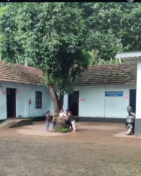 പ്രമാണം:17517 2.jpg