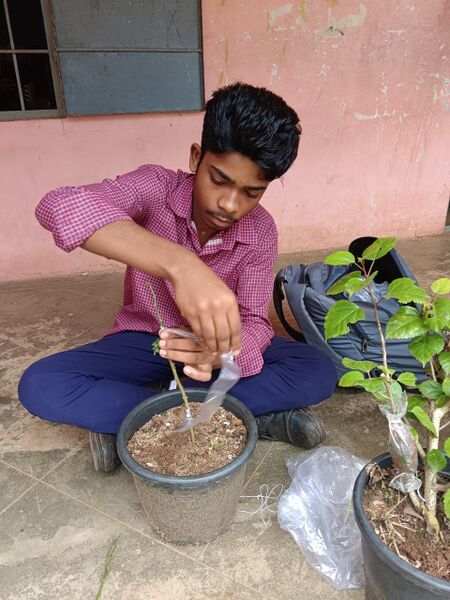 പ്രമാണം:21068 pkd sasthramela 1.jpg