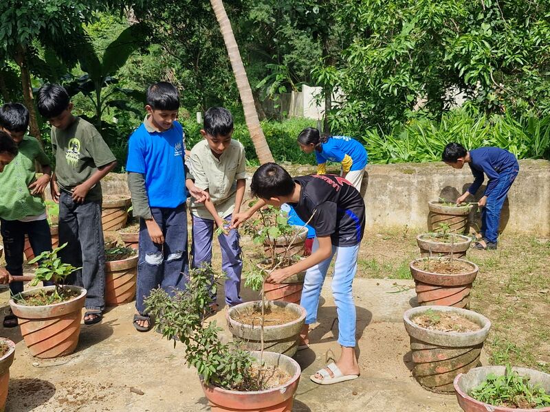 പ്രമാണം:21253-growgreen.jpg