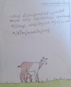 21268-PKD-KUNJ- HIBA FATHIMA P M.JPEG.jpg