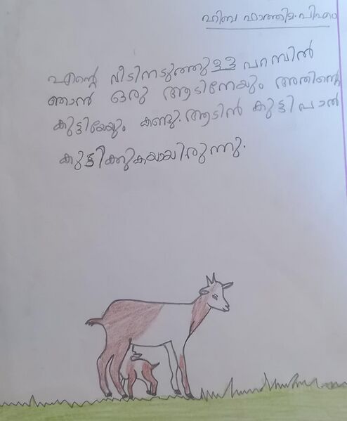 പ്രമാണം:21268-PKD-KUNJ- HIBA FATHIMA P M.JPEG.jpg