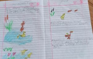 21508-PKD-KUNJ-NAVATHI (1).jpg