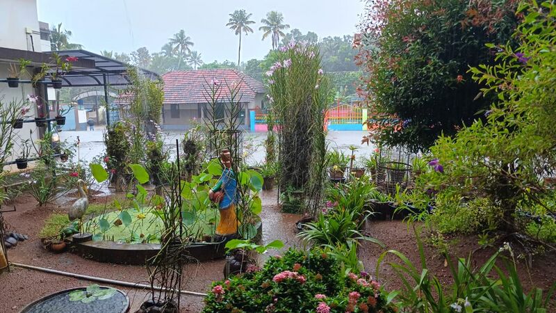 പ്രമാണം:25043 BUTTERFLY GARDEN 2.jpg