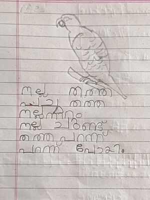 31421-KTM-KUNJ-AILIN JIMMY.jpg