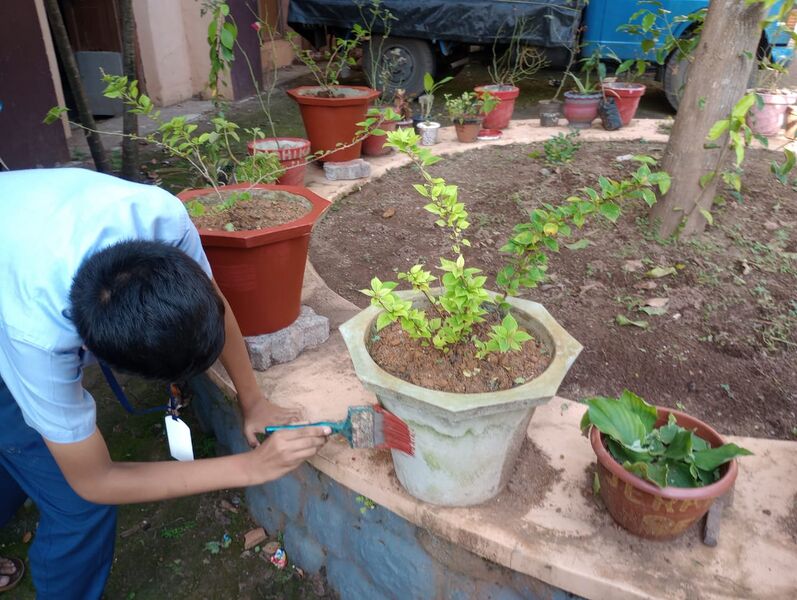 പ്രമാണം:33056 campus 5.jpeg