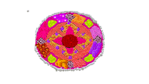 St. Thomas H.S.S Kozhencherry