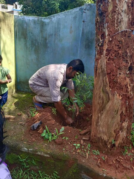 പ്രമാണം:44205 1.environmetday 2025.jpg