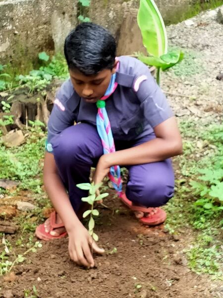 പ്രമാണം:46062 scout2.jpg