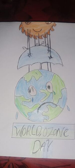 47045-ozone day 7.jpeg