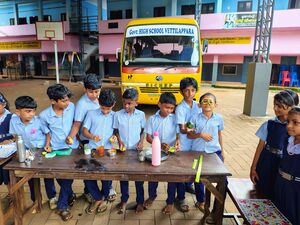 48137-schoolmela2.jpg