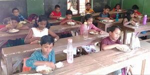 BS21 ALP 34317 5.jpg