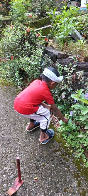 IMG-20220131-WA0045.jpg