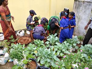 Scout34317 2.resized.jpg