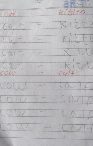 15453-WYD-KUNJ-MUHAMMED SAHAD.jpeg