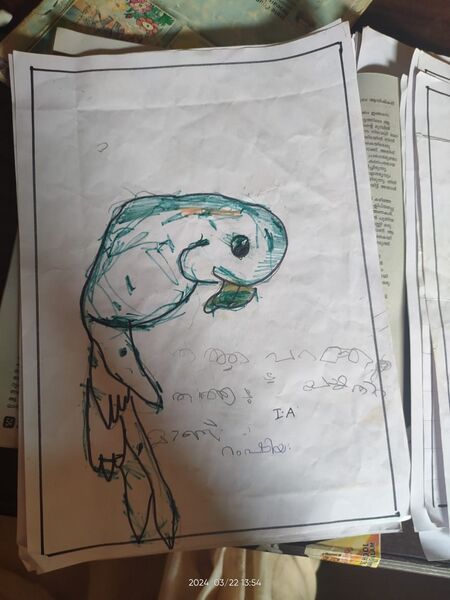 പ്രമാണം:18748-MLP-KUNJ-FATHIMATH RAMSHIYA.K.P.jpg