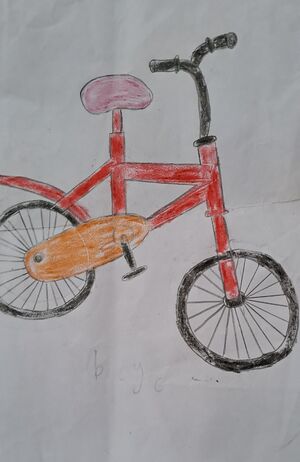 19801-MLP-KUNJ-UMMU RUMANA.jpg