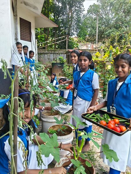 പ്രമാണം:24049 farming2.jpg