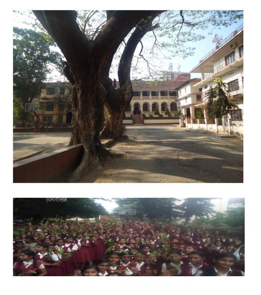 പ്രമാണം:33025 01.JPG