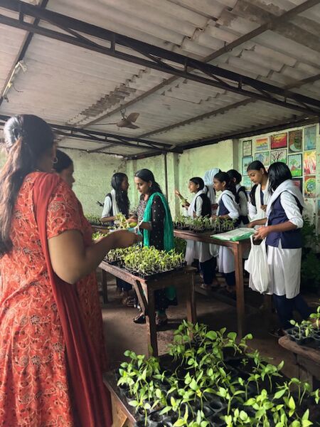 പ്രമാണം:34044-GHSM-KRISHI INAGURATION2025-7a.jpg