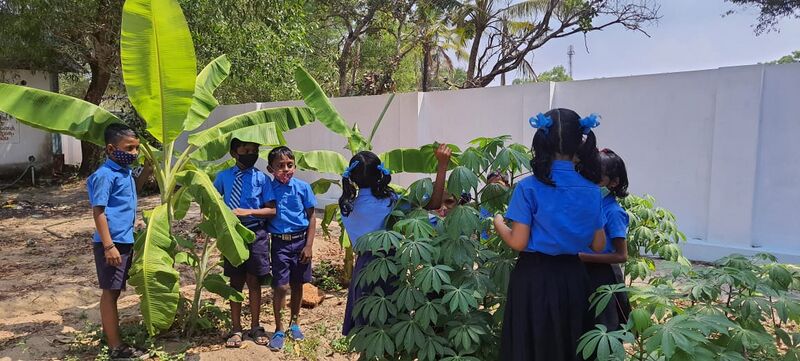 പ്രമാണം:35221 80(2.jpg