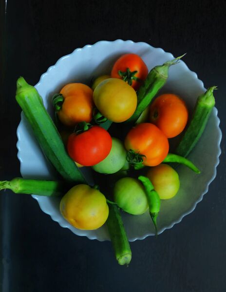 പ്രമാണം:41069 veg10.jpeg