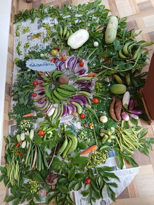 42611 Pchakkarikkalam.jpg