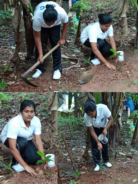 പ്രമാണം:43022 SPC8.jpg