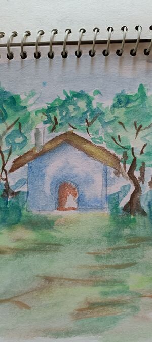 47017 SAVIO 7 C 41 .jpg