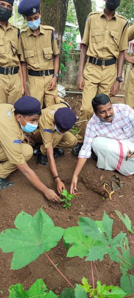 പ്രമാണം:June5 spc2.jpg