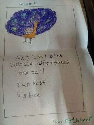 MLP-KUNJ-JAZA FATHIMA.jpg