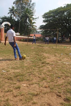 Million goal (6).JPG