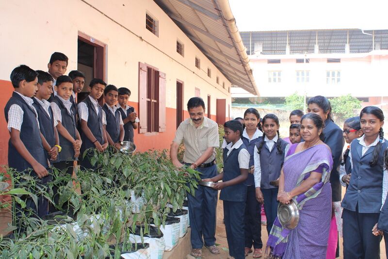 പ്രമാണം:Veg9young farmers in vegetable gardon.JPG
