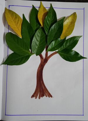 WhatsApp Image 2022-02-07 at 12.48.54 PM.jpeg