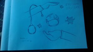 അനീഷ വി.jpg