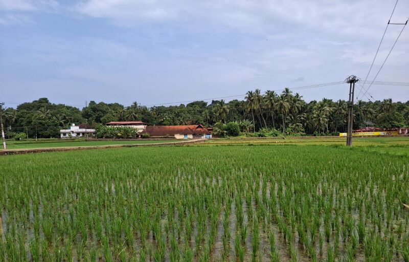 പ്രമാണം:08134 ENTE GRAMAM 1.jpeg