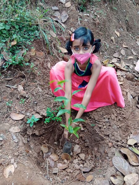 പ്രമാണം:15343 15.jpeg