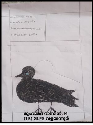 17308-KKD-KUNJ-MUHAMMAD RAZIN M.jpg