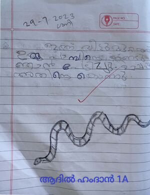 19363-MLP-KUNJ-ADIL HAMDAN.jpg