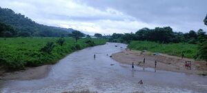 21099-ente gramam1.jpg