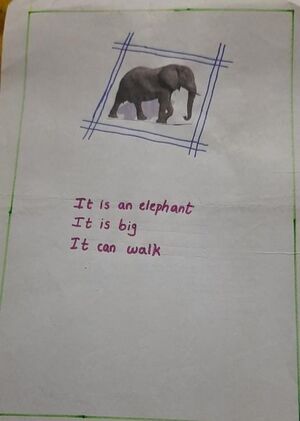 21228 pkd kunj malavika.jpeg