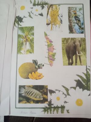 21408-PKD-KUNJ-AYAN ADAM IB.jpg